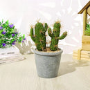 Hisow Faux Cactus Decorative Succulents Potted (A)