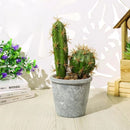 Hisow Faux Cactus Decorative Succulents Potted （B）