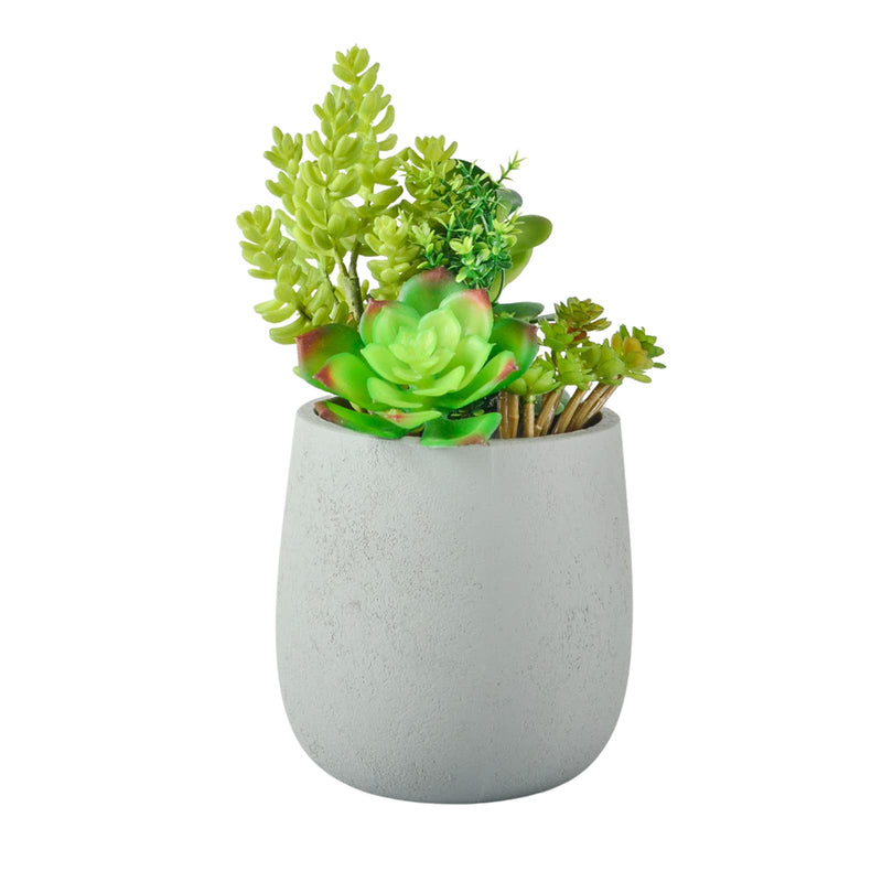 10" Succulents Plants Artificial with Gray Pots