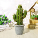 Hisow Faux Cactus Decorative Succulents Potted （C）