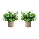 2 Packs Small Potted Fake Plants