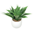 Large Faux Aloe Plant with Ceramic Vase