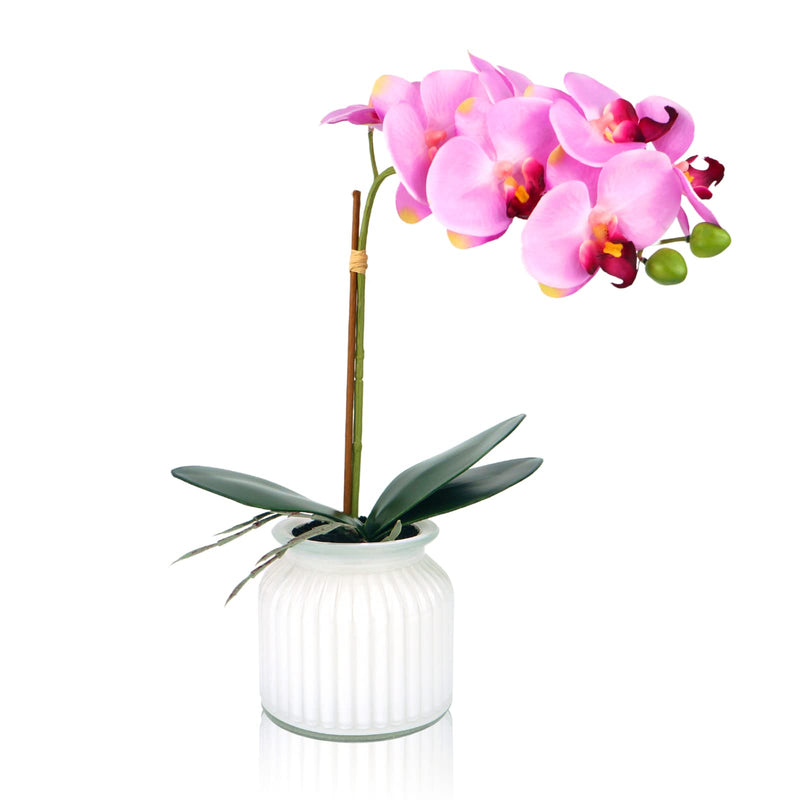 14.6" Artificial Orchids Flowers with Pot