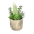 Faux Succulent Plants in Ceramic Pot