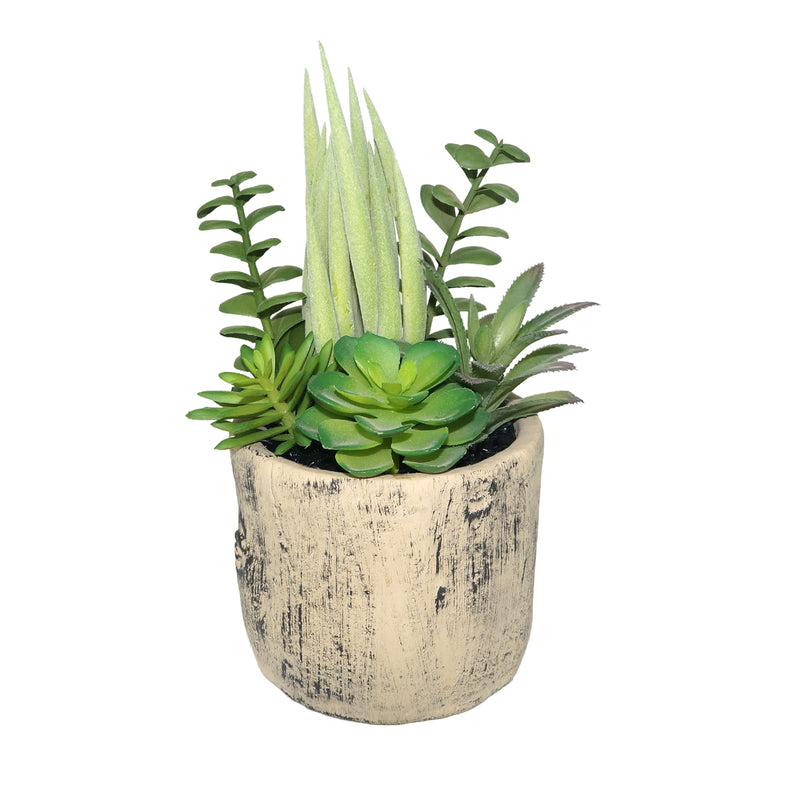 Faux Succulent Plants in Ceramic Pot