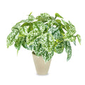 13" Faux Green Leaves with Cement Pot