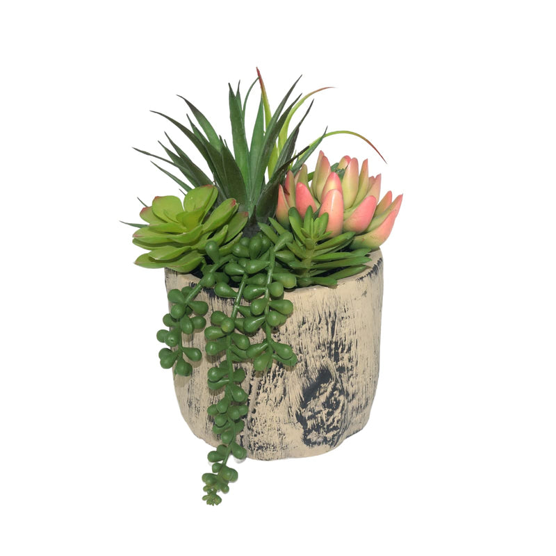 Faux Succulent Plants in Ceramic Pot