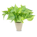 13" Faux Green Leaves with Cement Pot