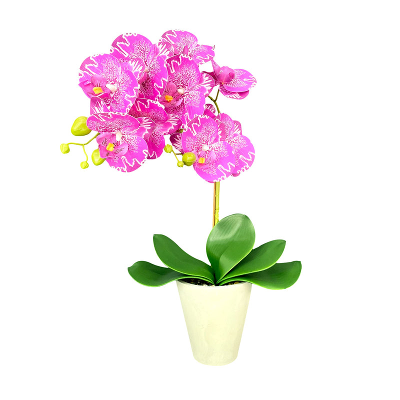 16.9" Artificial Orchids Flowers with Cement Pot