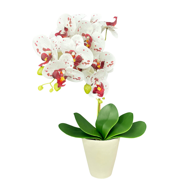 16.9" Artificial Orchids Flowers with Cement Pot