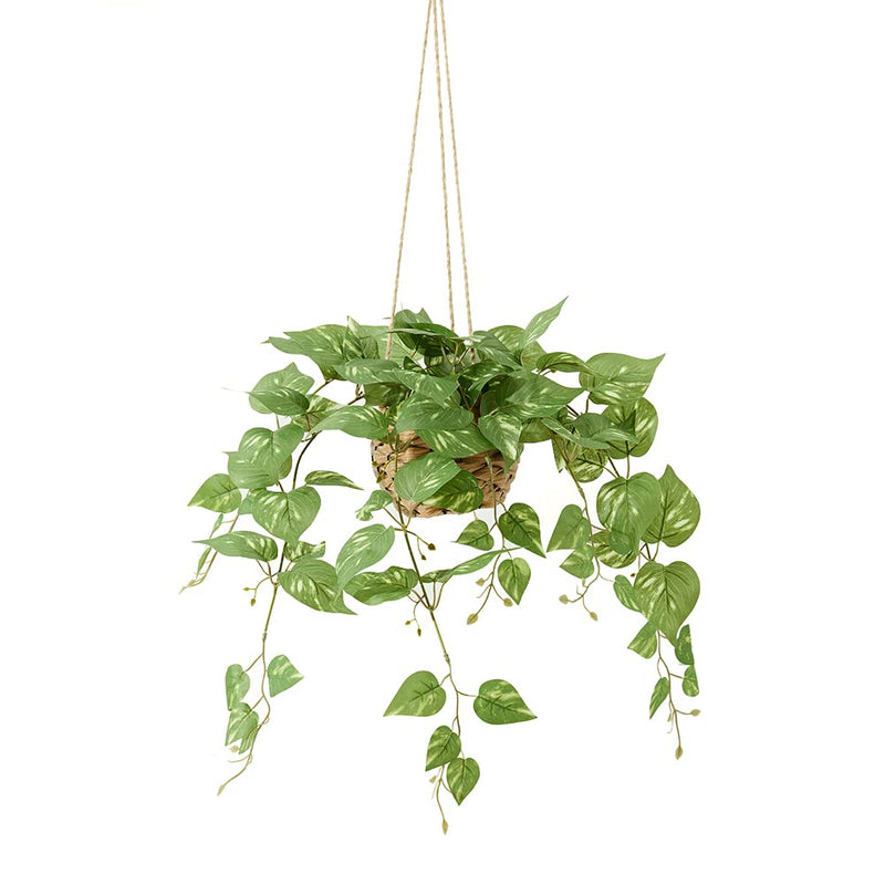 Artificial Hanging Plants with Basket