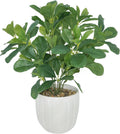 16.9" Artificial Potted Plant Leaves