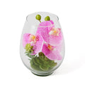 Artificial Succulent Plants in Terrarium Glass Containers