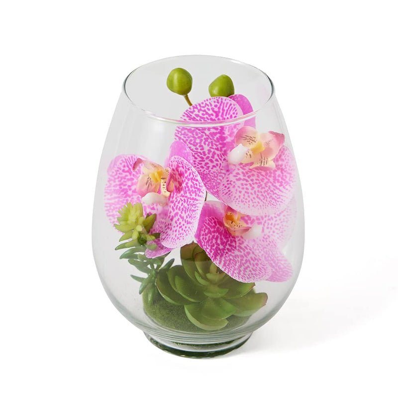 Artificial Succulent Plants in Terrarium Glass Containers