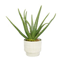 Large Faux Aloe Plant with Ceramic Vase