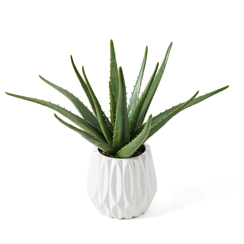 Large Faux Aloe Plant with Ceramic Vase