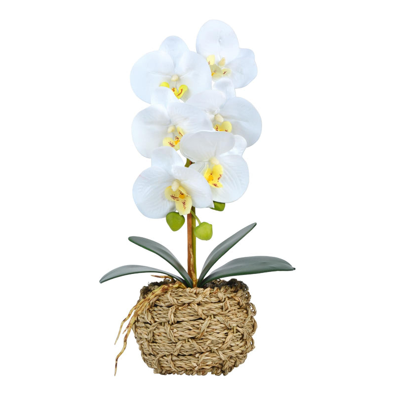 White Fake Orchid With Ceramic/Ratten Pot