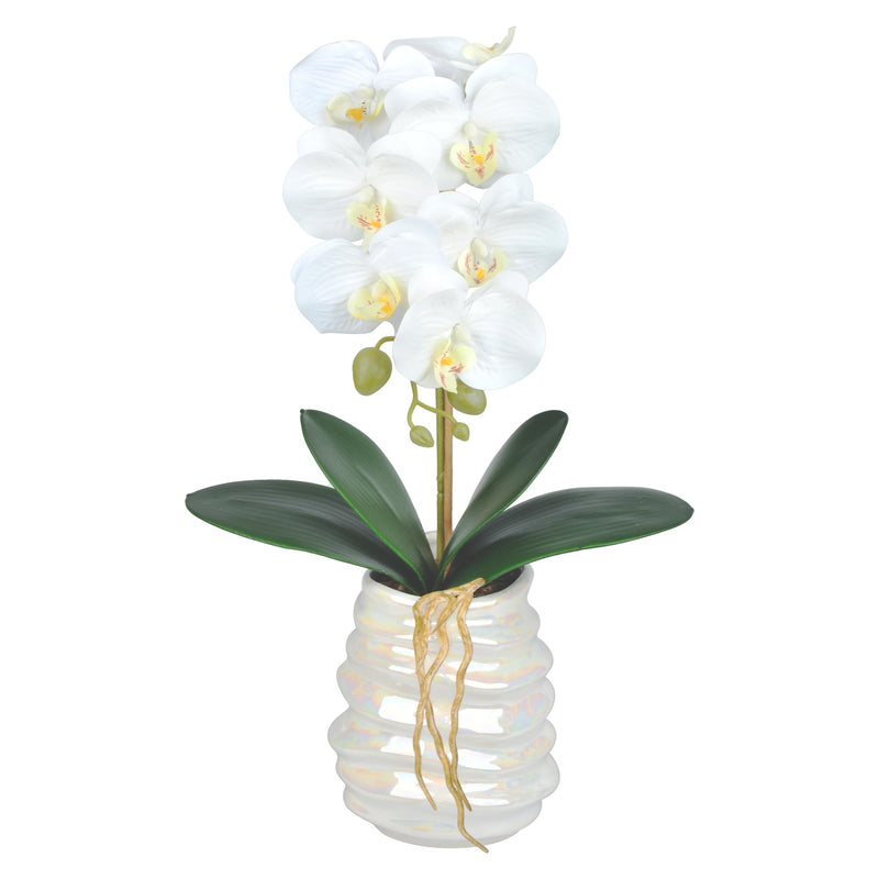 White Fake Orchid With Ceramic/Ratten Pot