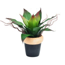 Fake Aloe Plant Indoor