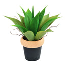 Fake Aloe Plant Indoor