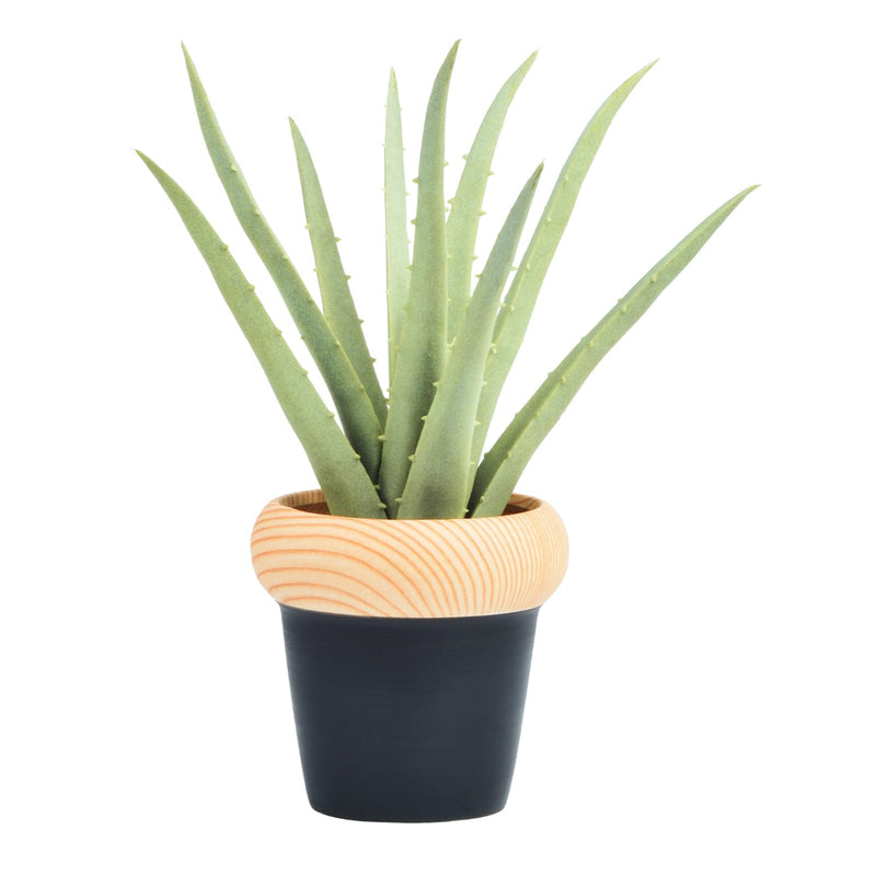 Fake Aloe Plant Indoor