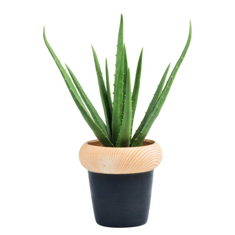 Fake Aloe Plant Indoor