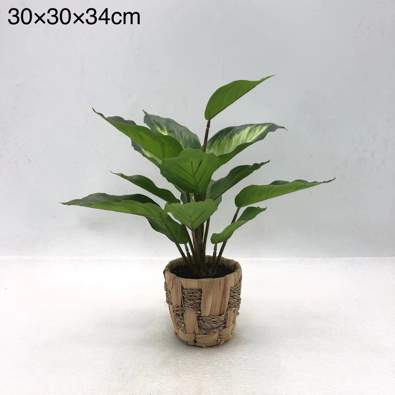 Artificial Plants Leaves with Plastic/Ratten Pot