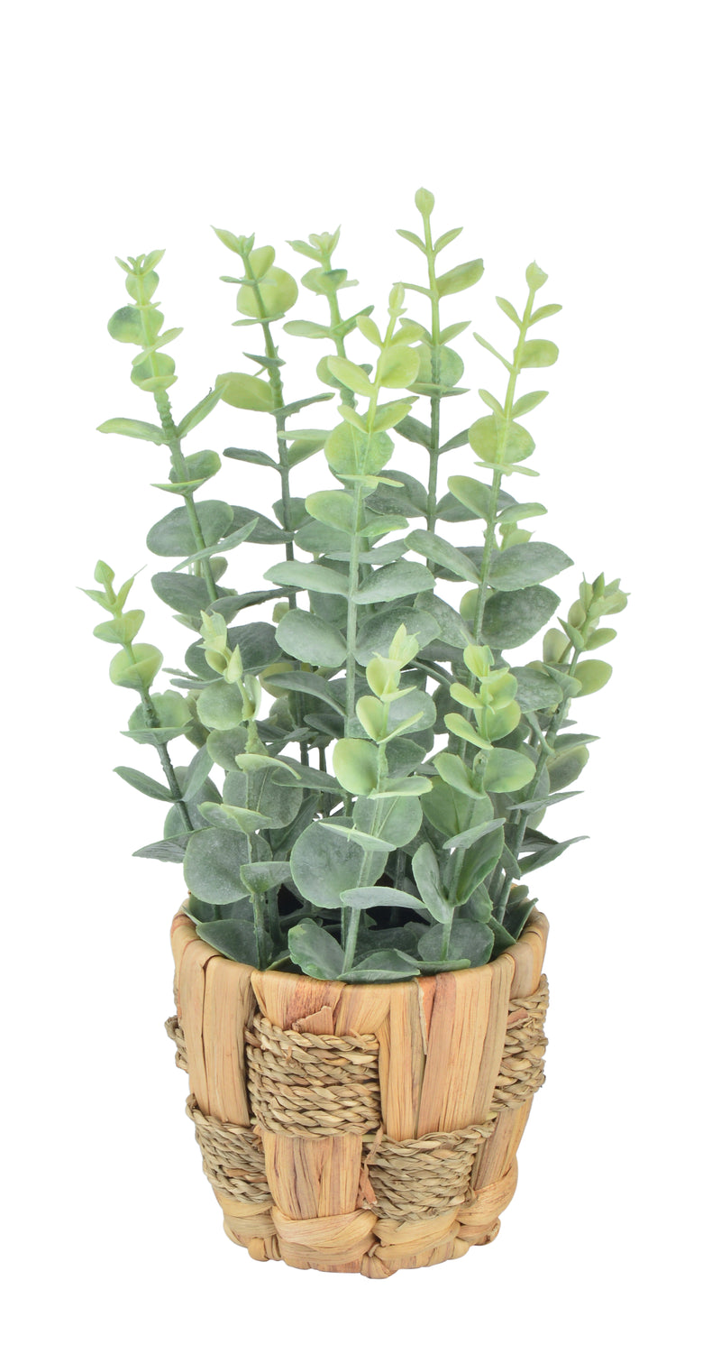 Artificial Plants Leaves with Plastic/Ratten Pot