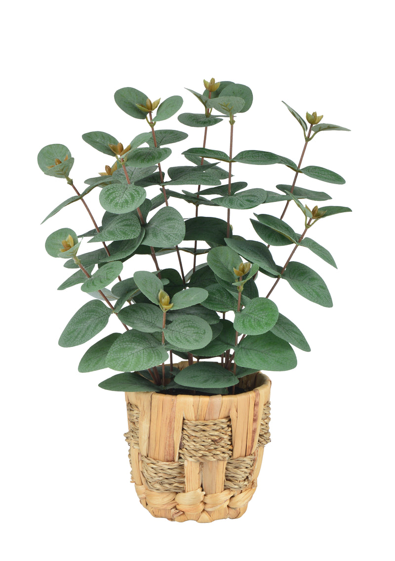 Artificial Plants Leaves with Plastic/Ratten Pot