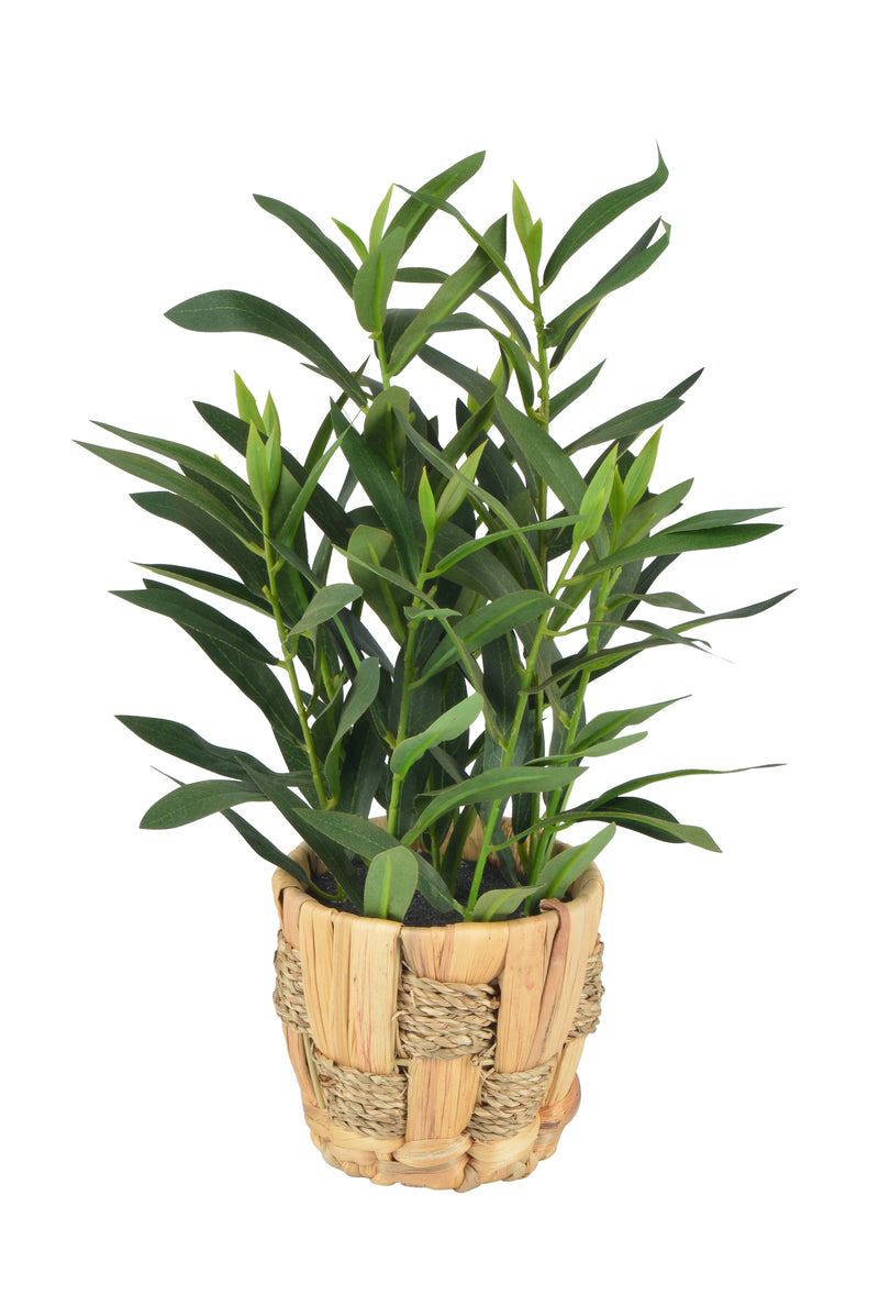 Artificial Plants Leaves with Plastic/Ratten Pot