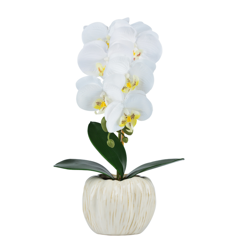 White Orchids Artificial Flowers in Pumpkin Pots