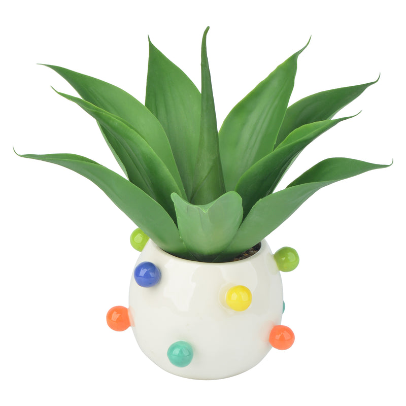 Artificial Aloe Plants in Ceramic Pots