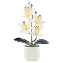 11.8"Orchids Artificial Flowers with Small White Ceramic Vase