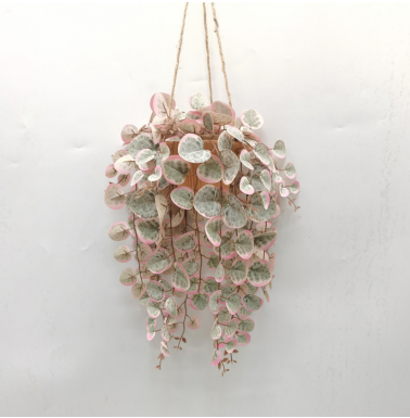 Artificial String of Hearts Plant with Cement/Red Clay Pot