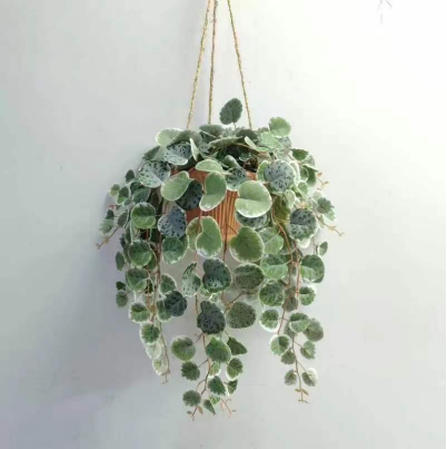 Artificial String of Hearts Plant with Cement/Red Clay Pot