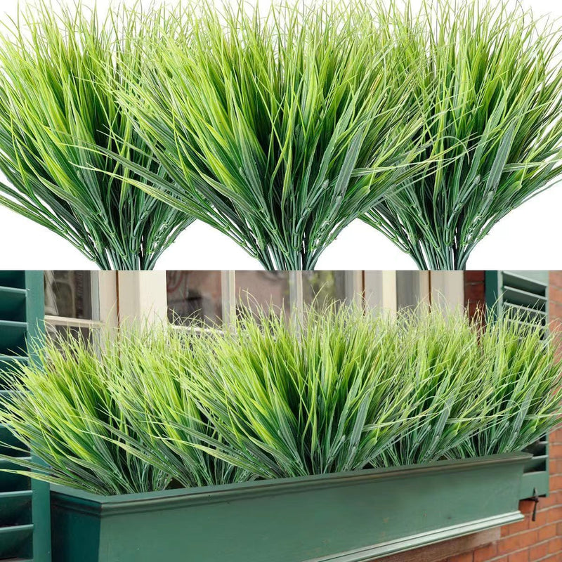 1PCS Amazon Grass Plant