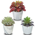 Set of 3 Succulents Plants Artificial in Mini Cement Pots