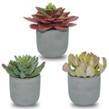 Set of 3 Succulents Plants Artificial in Mini Cement Pots