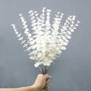 1PCS Eucalyptus Arregements
