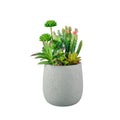 10" Succulents Plants Artificial with Gray Pots