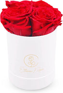 Hisow Mini Round Artificial Flower Box (White)