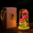 Hisow Carnation Flowers Gift (Pink)