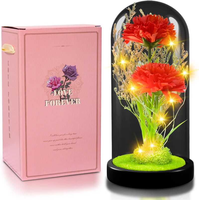 Hisow Carnation Flowers Gift (Red)
