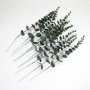 Hisow 10pcs Eucalyptus Stem (Green）