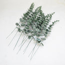 Hisow 10pcs Eucalyptus Stem (White)
